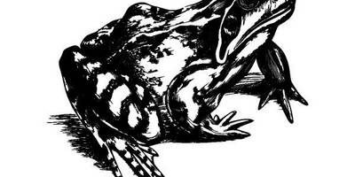 Животные 3850