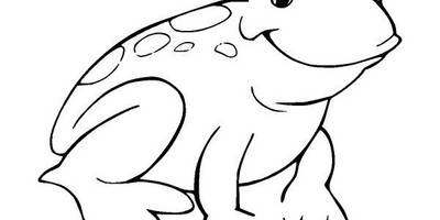 Животные 924