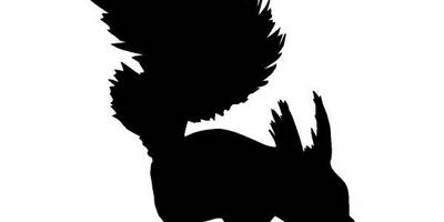 Животные 255