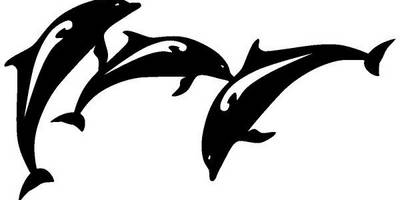 Животные 998