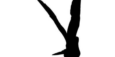 Животные 1325