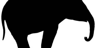 Животные 2180