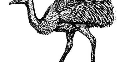 Животные 1094