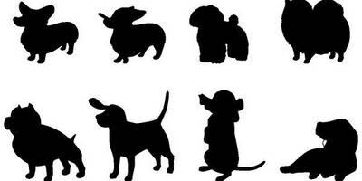 Животные 3111