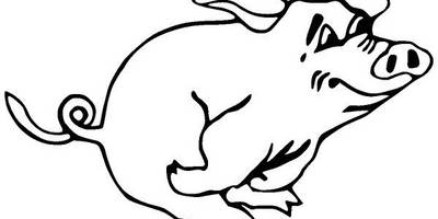 Животные 461