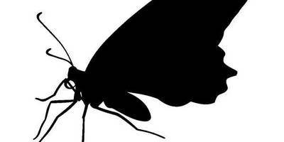 Животные 808