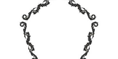 Орнамент цветы 86