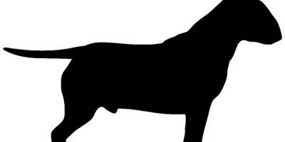 Животные 1123