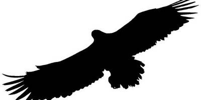 Животные 3525