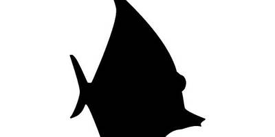 Животные 1370