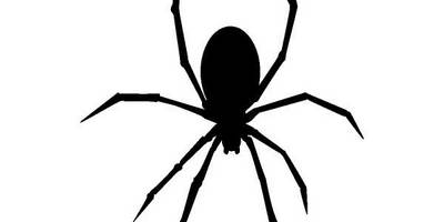 Животные 887