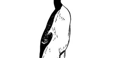 Животные 3784