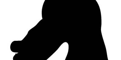 Животные 1319