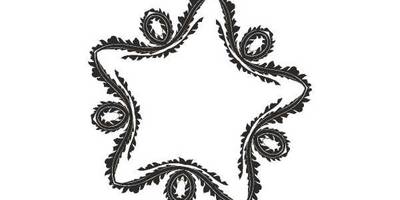 Орнамент цветы 74