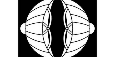 Японский узор 1302