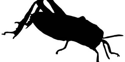 Животные 2929