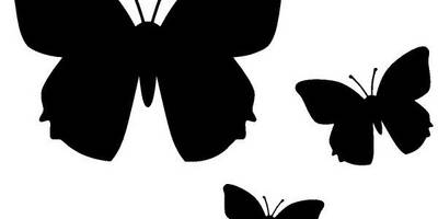 Животные 1325