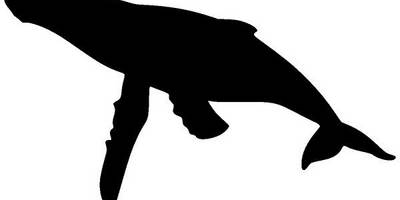 Животные 1941