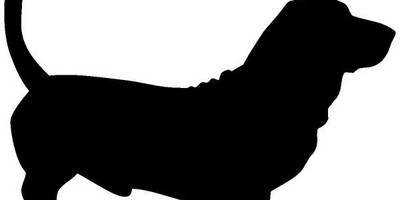 Животные 3115