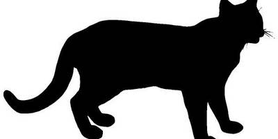 Животные 4182