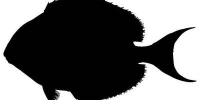 Животные 1193