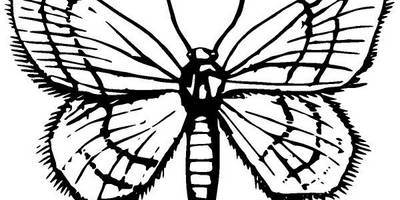 Животные 2844