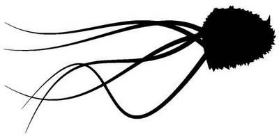 Животные 1600