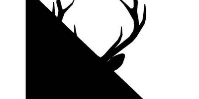 Животные 4328