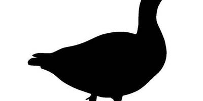 Животные 455