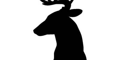 Животные 1143