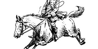 Животные 2715