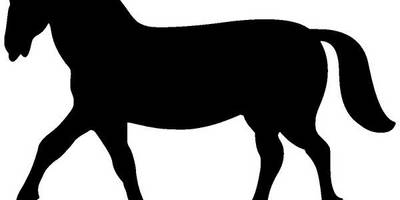 Животные 3573