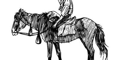 Животные 920