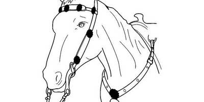 Животные 830