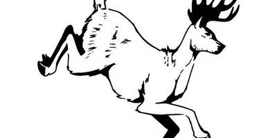 Животные 316