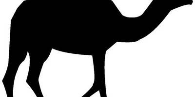 Животные 4233