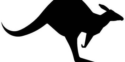 Животные 703