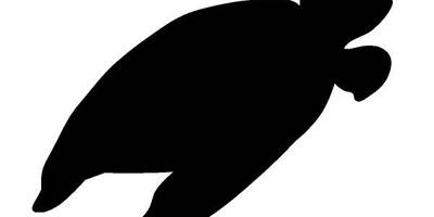 Животные 2973