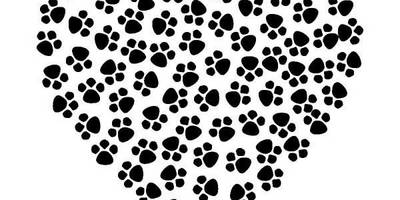 Животные 1174