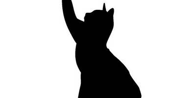 Животные 2522