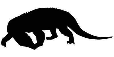 Животные 197