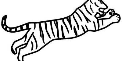 Животные 777