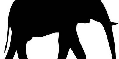 Животные 249