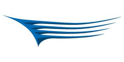 Виниловая наклейка на авто 79