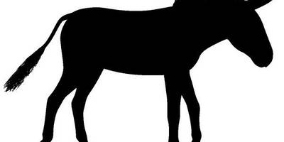 Животные 2240