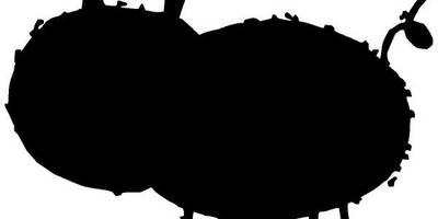 Животные 656