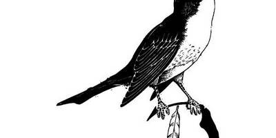 Животные 839