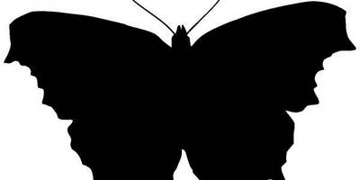 Животные 1214