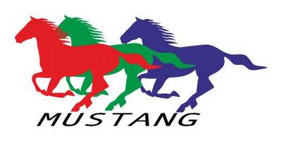 Виниловая наклейка на авто 540