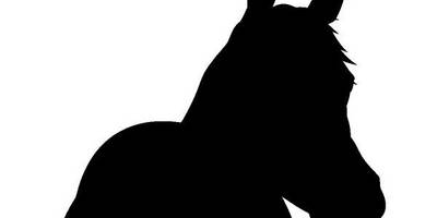 Животные 2512